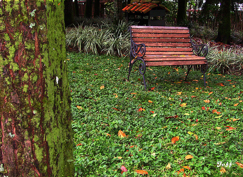 témoignage de bénévole